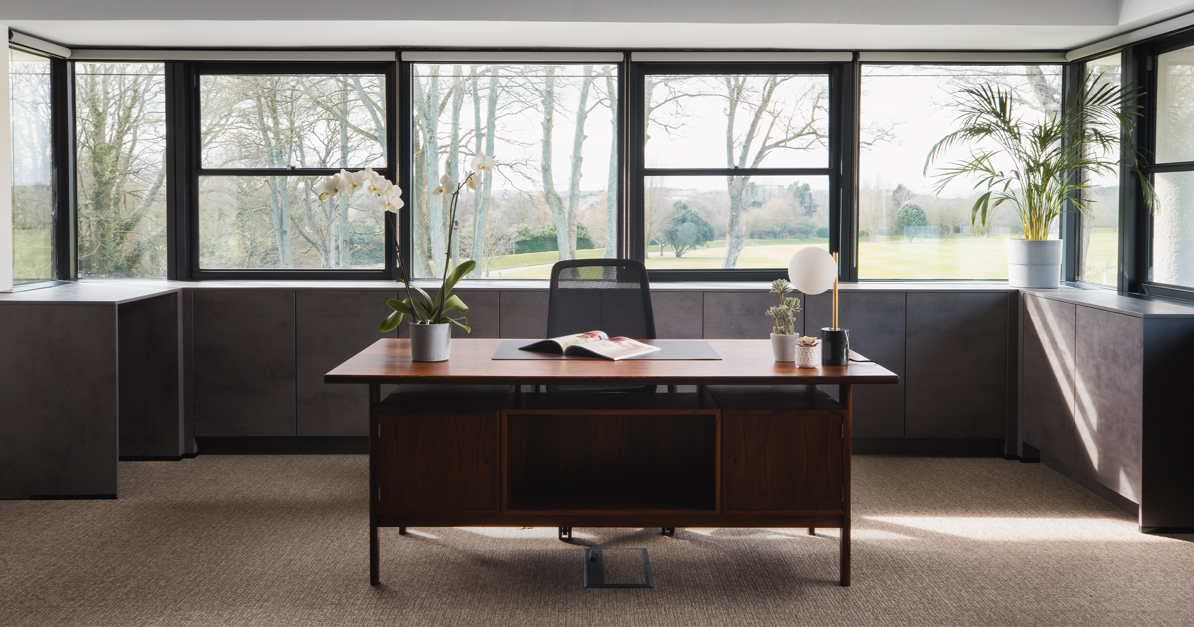 A desk in a Winslade Park office sits in front of windows, with lots of plants and desk is in command position facing door for Feng Shui